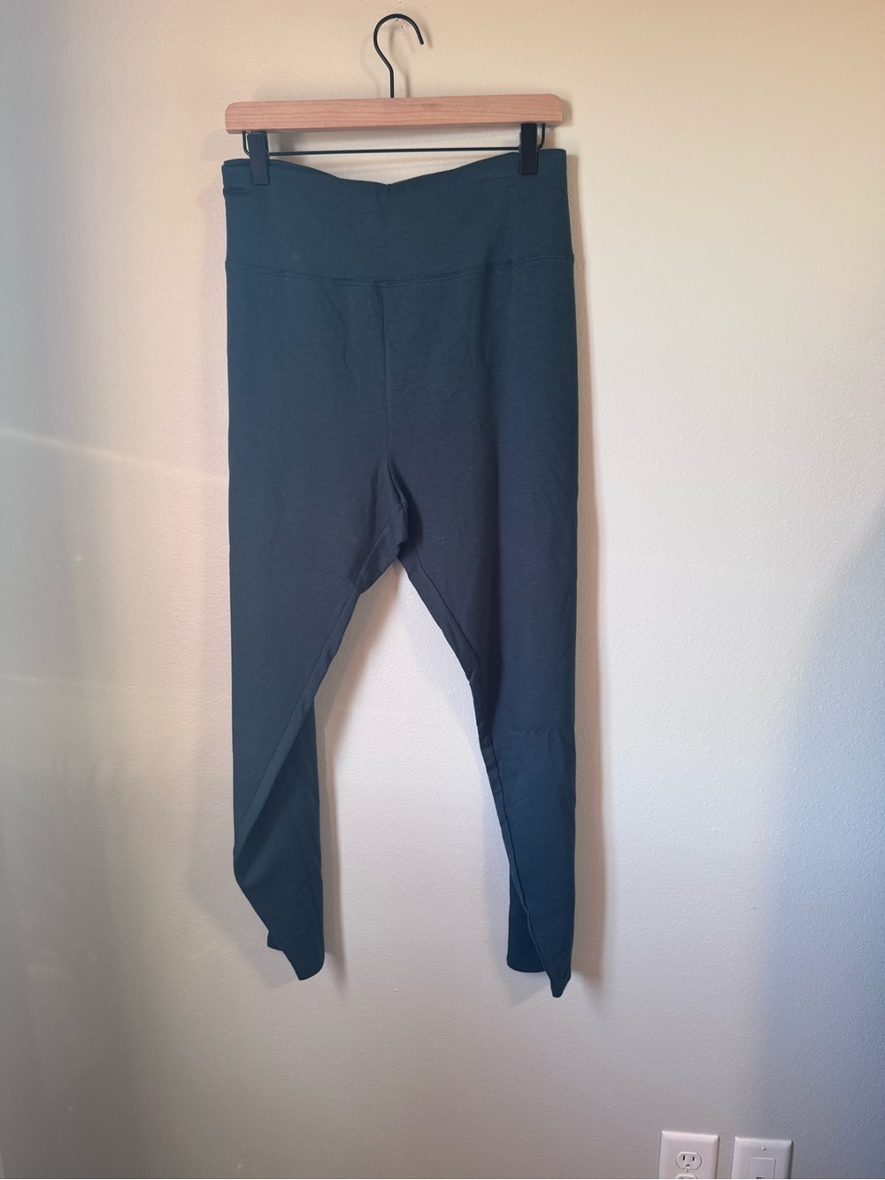 Eileen Fisher Women’s 3x Leggings in Pine NWT